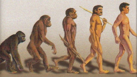 teoria de la evolucion. Teoria de la evolucion