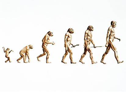 biologia evolutiva