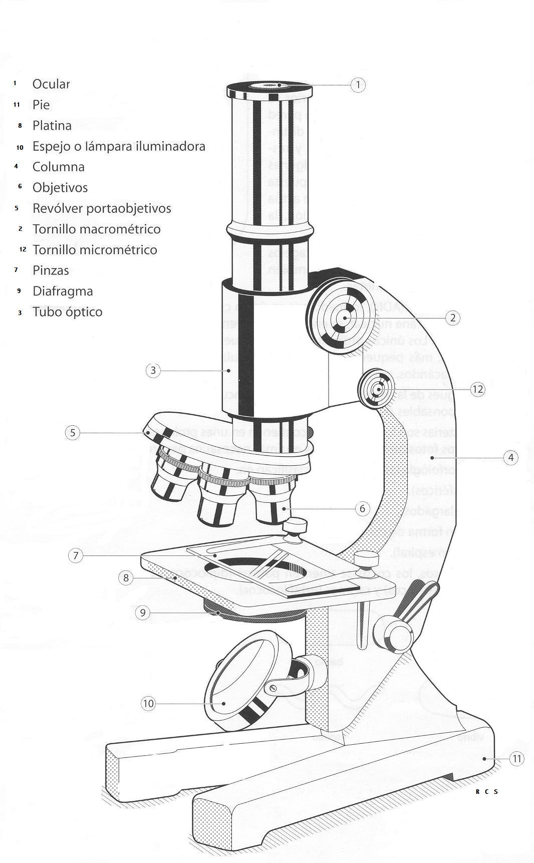 partes microscopio
