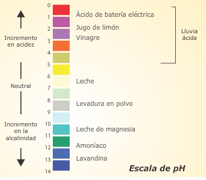 Acidez del suelo escala pH
