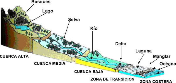 Cuencas hidrograficas