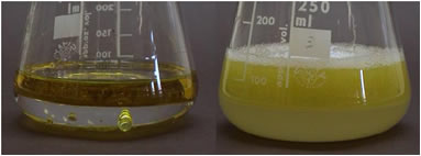Emulsion agua aceite