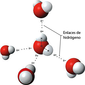 Enlaces de hidrogeno