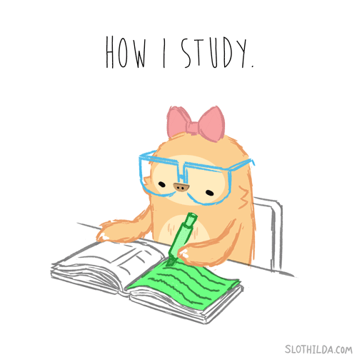 Estudiando