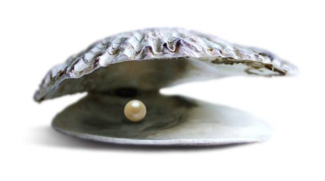 Formacion de una perla