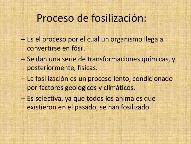 Fosilizacion