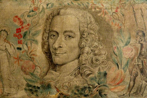 Ideas Voltaire