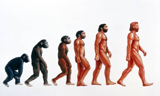 La evolucion humana