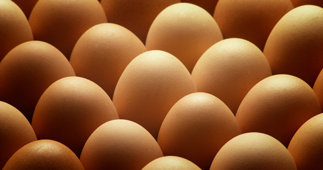 La importancia del huevo