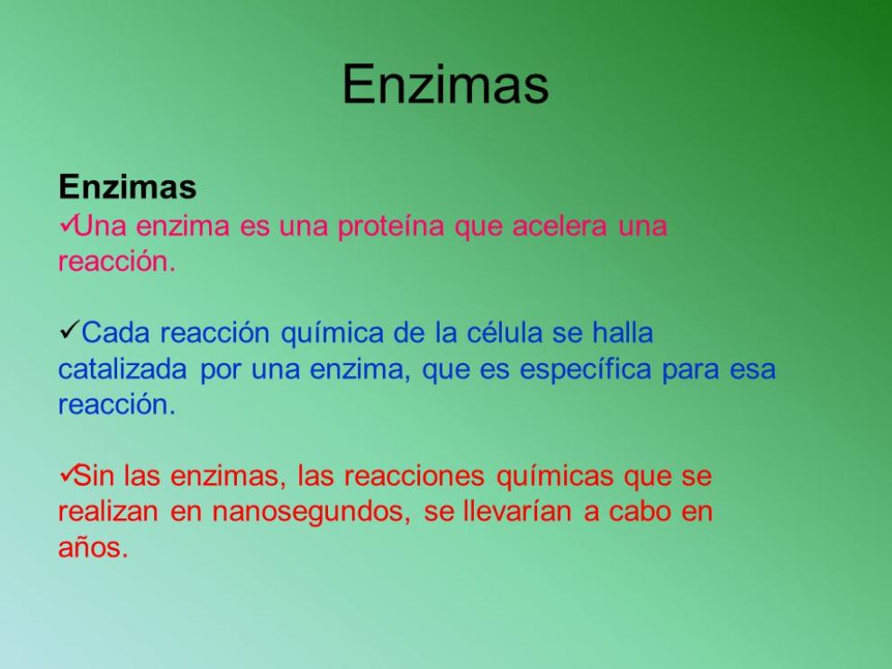 Las enzimas quimica