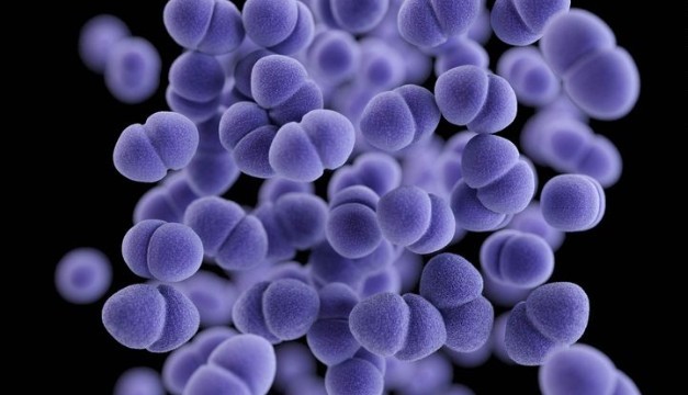 Las superbacterias