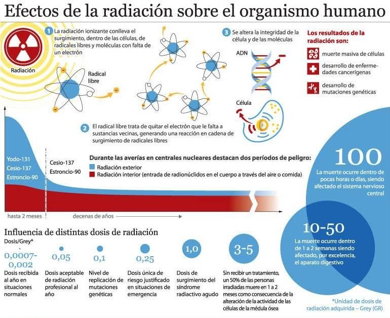 Los efectos de la radiación en el cuerpo humano - Escuelapedia