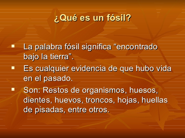 Los fosiles