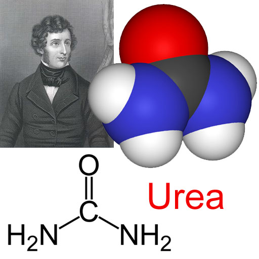 Molecula de Urea