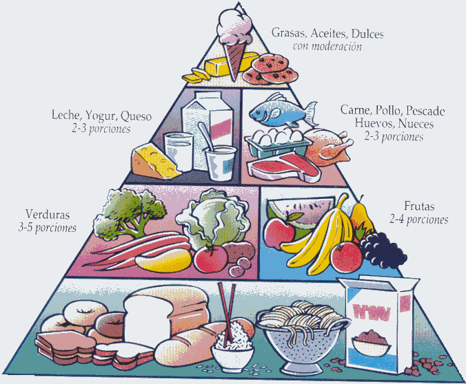 Piramide-alimenticia