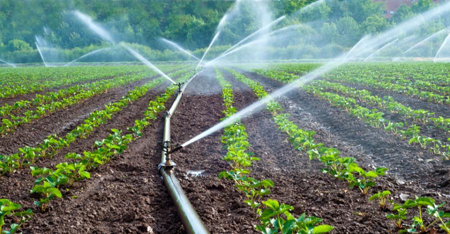 Reutilización del agua en la agricultura