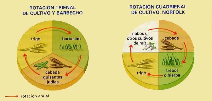 Rotacion de cultivos