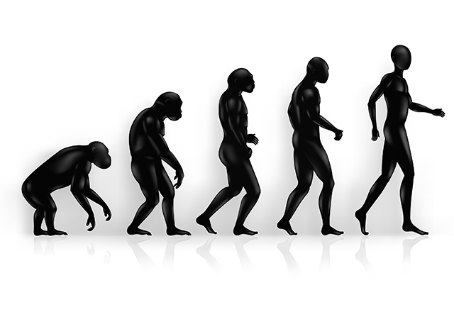 Teoria evolutiva