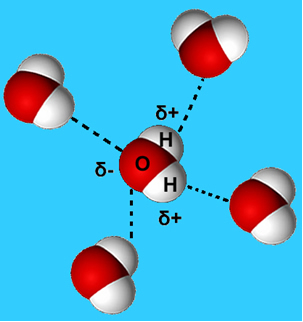 enlace hidrogeno